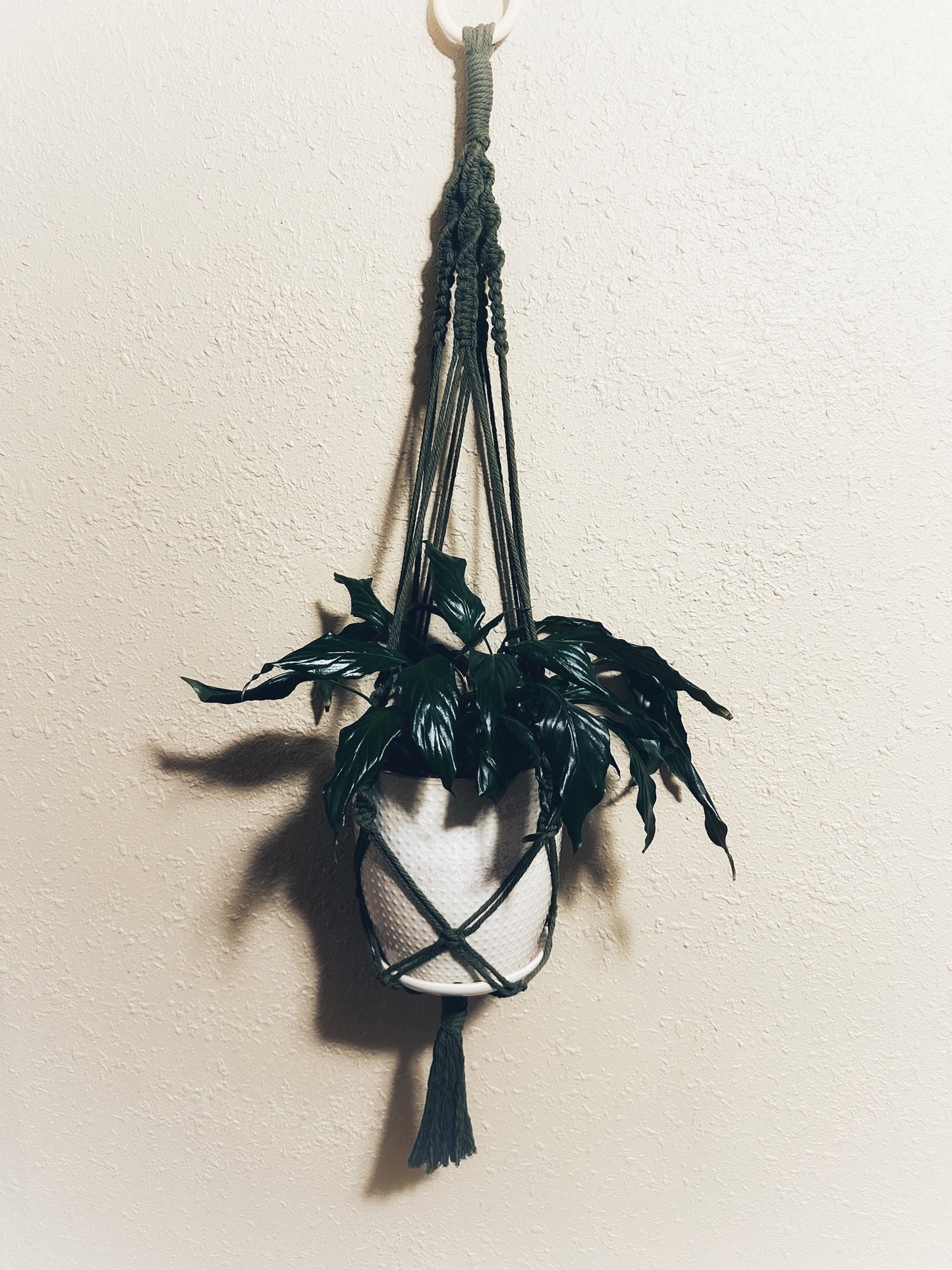 Macramé Plant Hanger